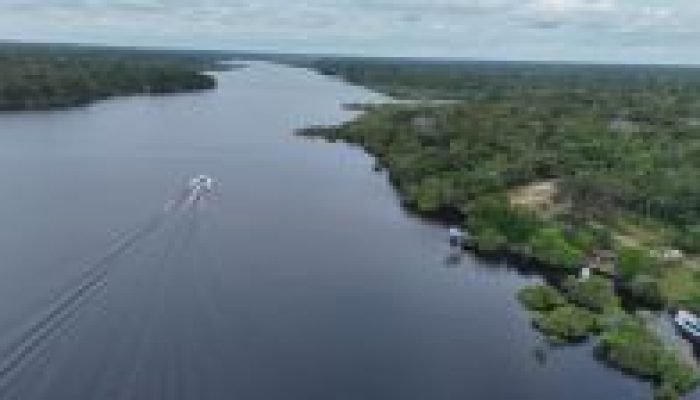 amazonia-_-reproducao-acervo-CNN-Brasil-