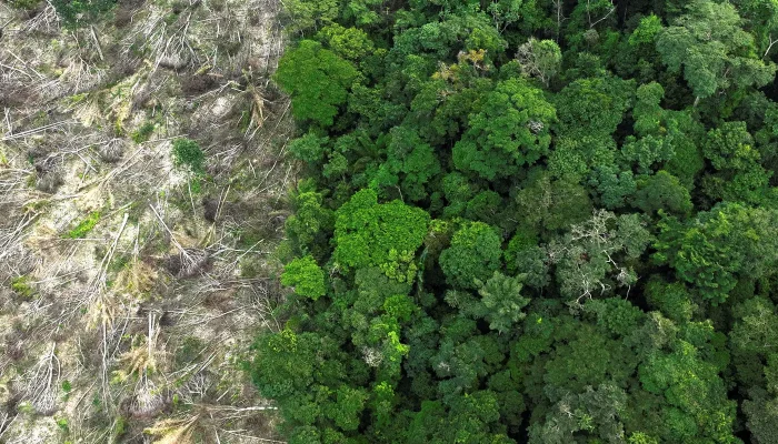 Impactos climáticos já atingem 1/3 da população na Amazônia Legal