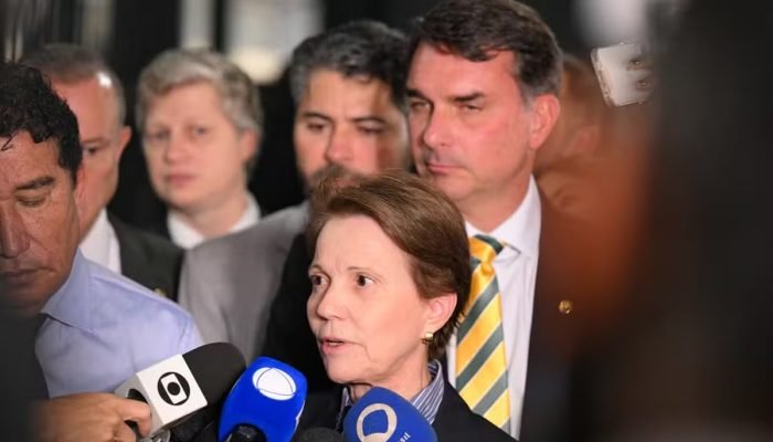 apesar-do-veto-do-pp-tereza-ainda-pode-ser-vice-de-flavio