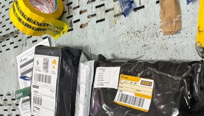 SES desmonta rota de envio e apreende lote milionário de canetas emagrecedoras