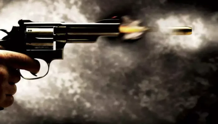 arma-de-fogo-1000x600-1