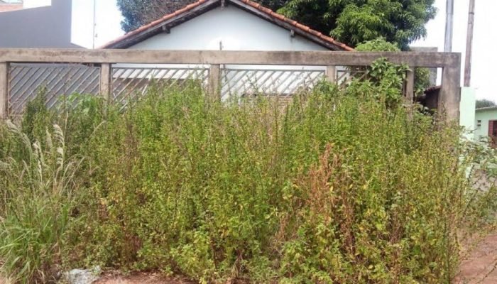 Foto: Mato alto está entre as infrações (Arquivo Midiamax)