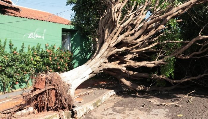 Ao menos 30 chamados foram feitos à Defesa Civil. (Foto: Pietra Dorneles/Jornal