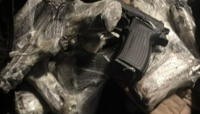 Logotipo da Polícia Federal — Foto: Logo