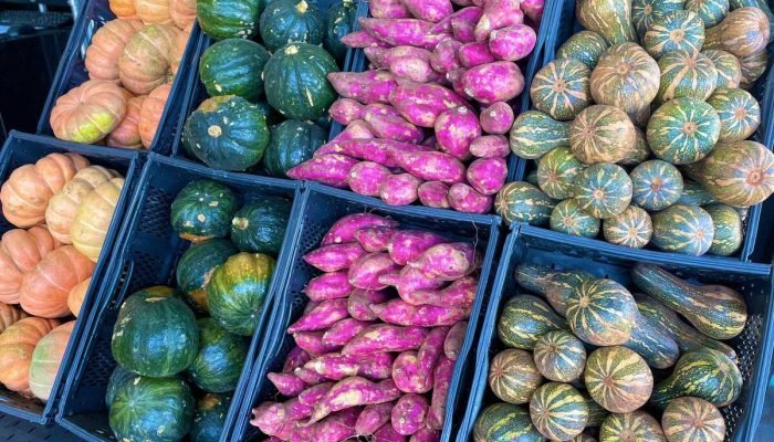 Preços do alface-crespa e batata-doce apresentam queda nos preços no Ceasa de Campo Grande