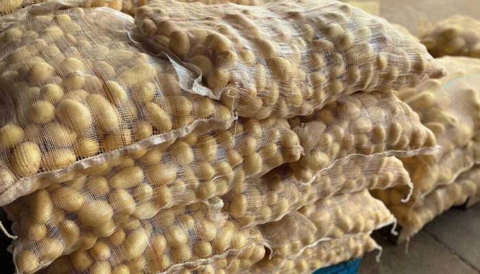 Preço da cenoura e batata diminui na Ceasa de MS; mamão e maçã encarecem