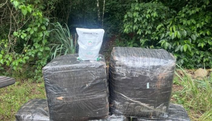 PF e BPFRON apreendem agrotóxicos de origem estrangeira em Mercedes/PR