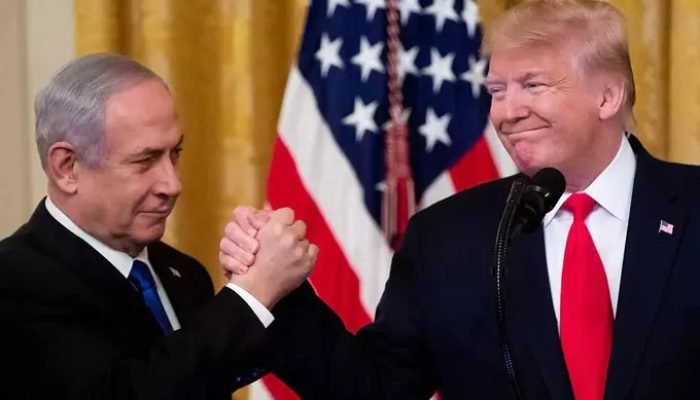 bibi.jpg