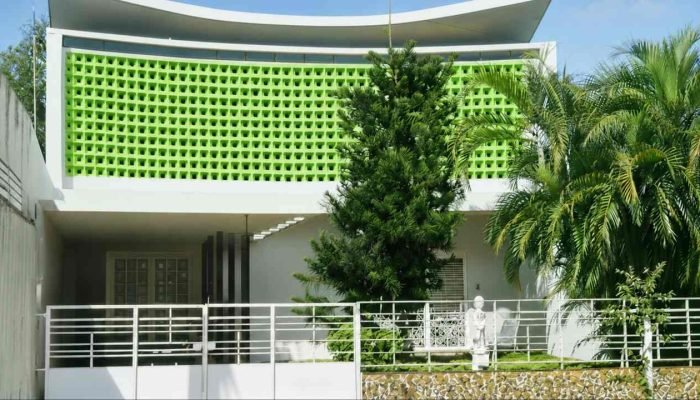 bosco-2