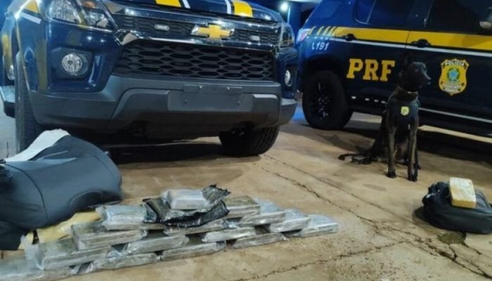 Droga apreendida pela polícia - Crédito: Divulgação PRF