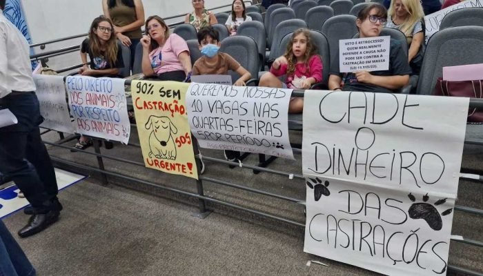 Campo grande aprova Projeto para castrar até 2,8 mil animais por mês