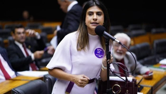 Deputada federal Camila Jara | (Pablo Valadares/Câmara dos Deputados)