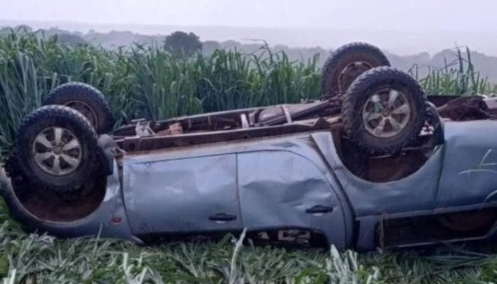 Veículo parou em uma área de mata - Crédito: (Reprodução: Edição MS)