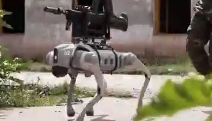 Exército chinês usa cães-robôs armados com fuzis em treinamento