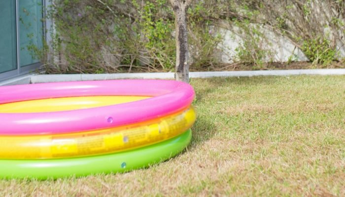 Foto: Imagem ilustrativa (Foto: Reprodução/Pexels)