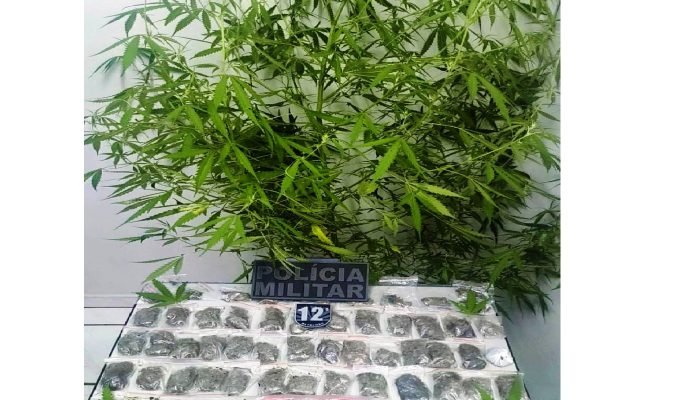 Polícia Militar apreende maconha e Skunk em Naviraí após denúncia anônima