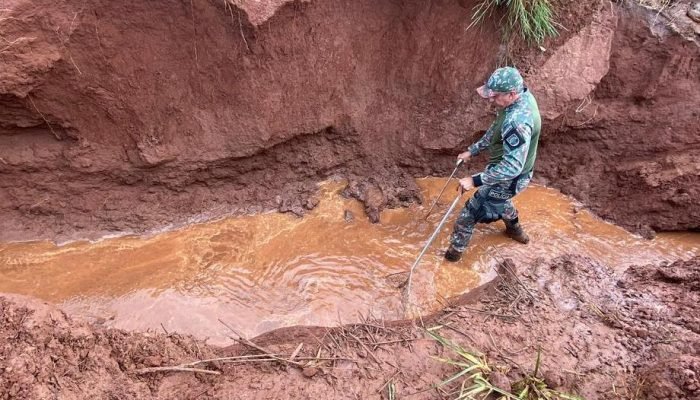 PMA resgata cinco jacarés em lagoa de captação de águas pluviais em Naviraí