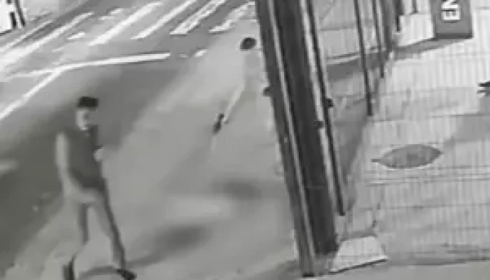 Homem mata cachorro com dez tiros em frente a ponto de ônibus em São Paulo