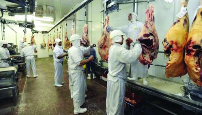 carne-bovina