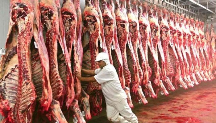carne_bovina_frigorifico_semadesc-3