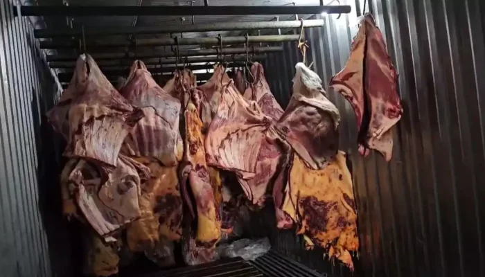 Carne estragada (Divulgação, Polícia Civil RJ)