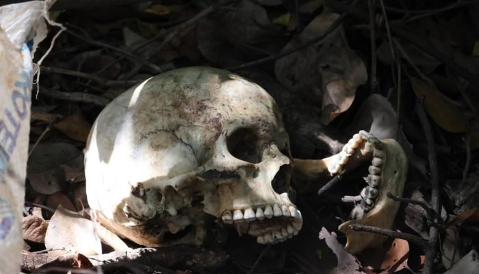 Crânio Humano Encontrado às Margens da BR-262 em Sidrolândia