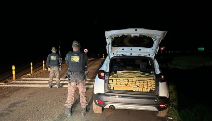 DOF apreende mais de 700 quilos de droga em carro roubado em São Paulo