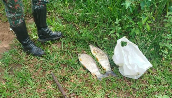 Imagem da Operação Piracema — Foto: Imagem: Divulgação / PMA