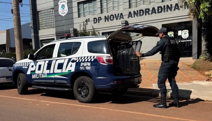 Foto: Imagem: Divulgação / PM