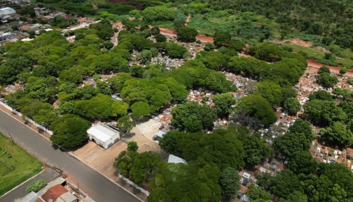 Imagem: Cogecom — Foto: Imagem: Cogecom