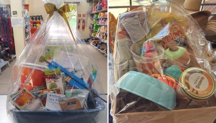 Foto: Imagem: Divulgação