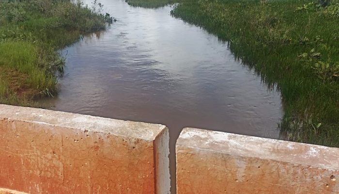 Ocorrência de afogamento no Córrego do Baile em Nova Andradina — Foto: Imagem: A