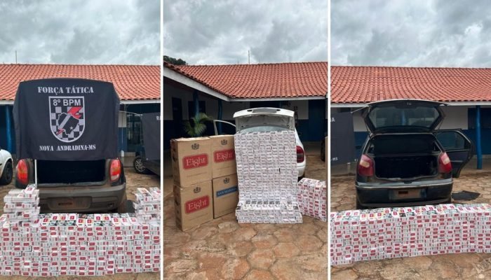 Imagens da apreensão de cigarros contrabandeados — Foto: Imagens: Divulgação / P