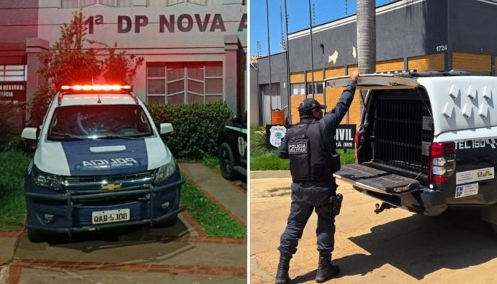 agentes da pm atuam em ocorrências envolvendo agressões físicas e familiares nos