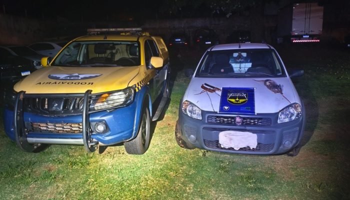 Veículo localizado com animal silvestre abatido — Foto: Imagem: Divulgação