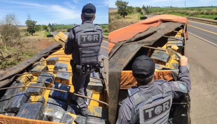 Morador de Batayporã é preso com carga de maconha no interior de São Paulo