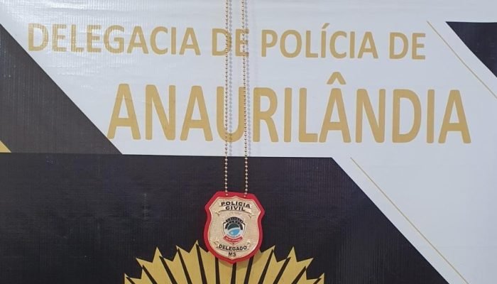 Policiais civis de Anaurilândia recebem Moção de Aplausos — Foto: Imagem: Divulg