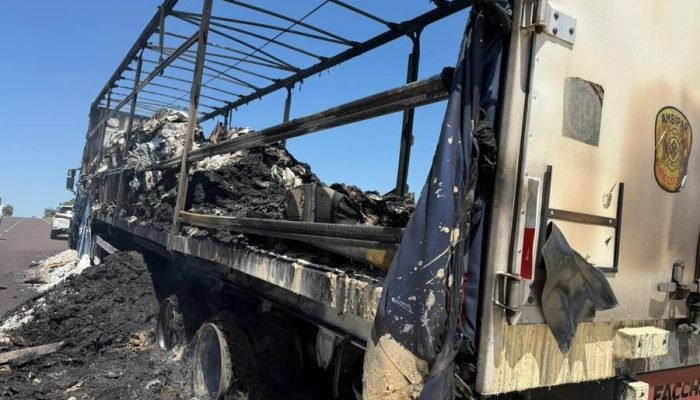 Carreta carregada de defensivos agrícolas pega fogo na BR-267