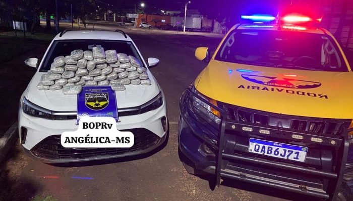 PMR apreende 16,5 kg de skunk durante fiscalização na MS-141, em Ivinhema