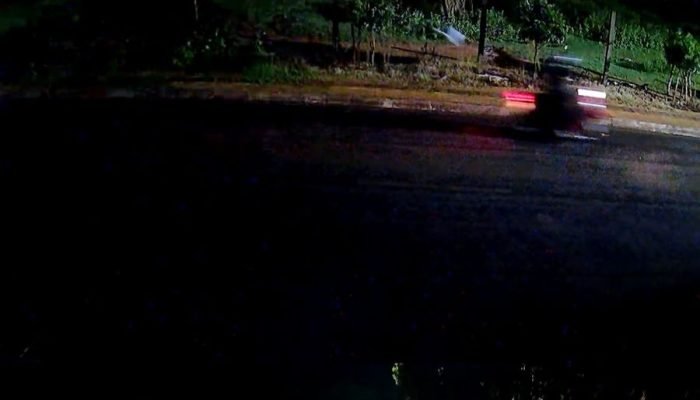 Moradores denunciam descarte recorrente de animais mortos em rua de Nova Andradina