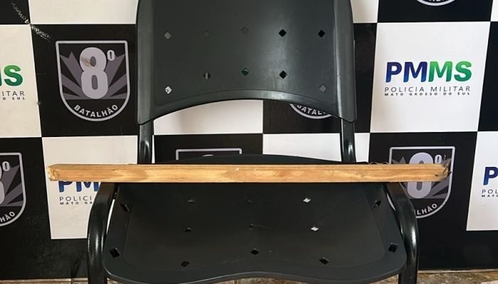 Imagem: Divulgação — Foto: Imagem: Divulgação