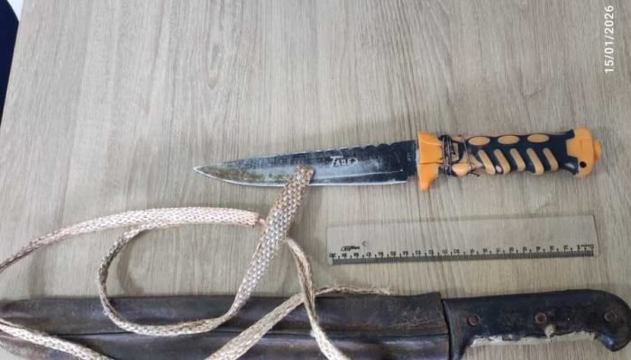 Foto: Imagem: Divulgação