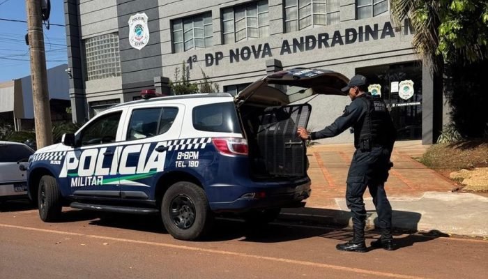 Foto: Imagem: Divulgação