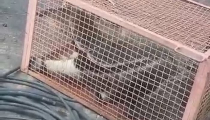 Imagem: Divulgação — Foto: Imagem: Divulgação