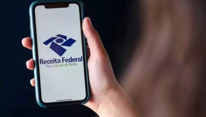 Contribuinte acessa aplicativo correto da Receita Federal. — Foto: Contribuinte