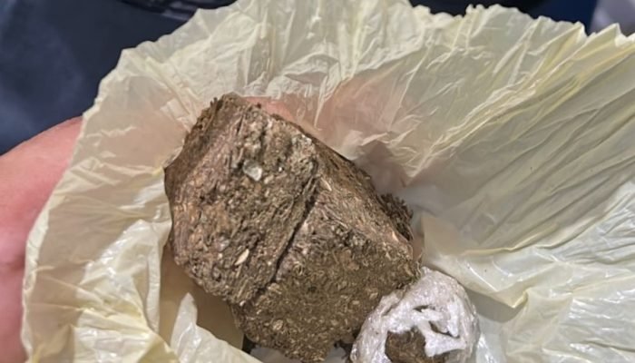 Foto: Imagem: Divulgação