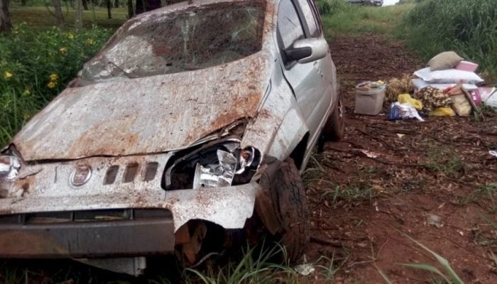 Carro capotou na rodovia MS-276 — Foto: Imagem : Vale do Ivinhema