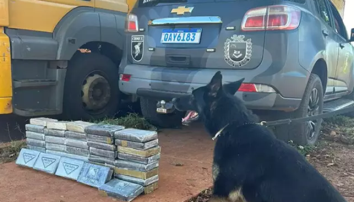 Caminhão dos Correios Flagrado com 44 Kg de Cocaína na BR-262