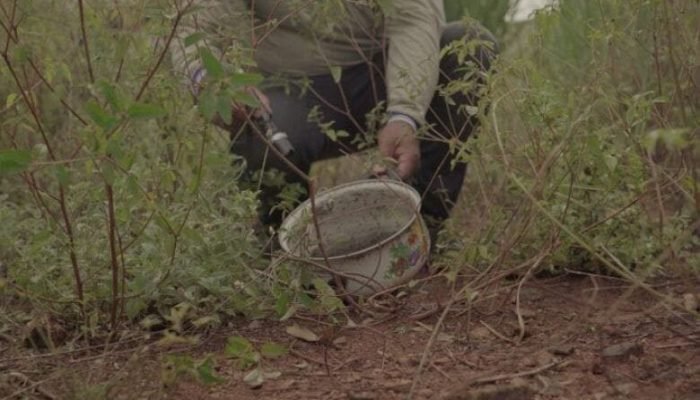 combate-a-dengue-terreno-divulgacao-gov-03-fev-2024-730x480