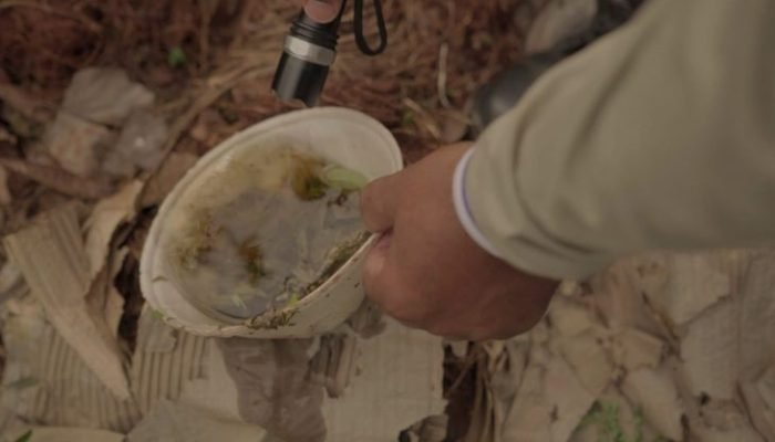 Foto: Divulgação Gov